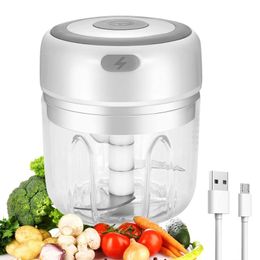 100/250ml Wireless Electric Mini Food Chopper Garlic Cutter Masher USB Charging Kitchen Gadgets 210326