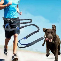 Dog Running Belt Reflective Leash Traction Rope Pet Elastic Hands Freely Jogging Pull Dog accessories Comfortable Leashes 210729