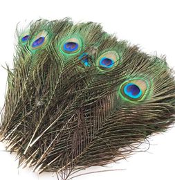 Great Decoration Natural Peacock Tail Feathers Bulk Peacock Feathers 10-12"(25-30cm) Peacocks Feathers