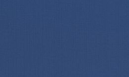 233686-7103 Pure wool high count worsted fabric [Blue Twill W100](FSA)