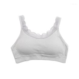 Bow Decore Seamless Camisoles Thread Lace Wrapped Chest Anti-glare Tube Top Beauty Back,1