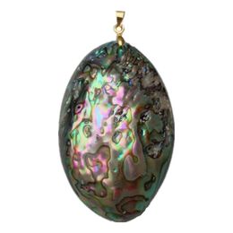 Real Paua Abalone Shell Free-form Pendant with Golden Metal Women Men Jewelry 5 Pieces