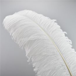High quality White Colour Ostrich Feather Plume 16-18 inches for Wedding Centrepieces party table home decoration