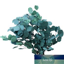 Natural Preserved Eucalyptus Leaves Bouquet Immortal Dried Flower For For Wedding Decor Display Flower Home Decoration Factory price expert design Quality Latest