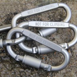 6pcs/lot Carabiner Travel Kit Camping Equipment Alloy Aluminium Survival Gear Camp Mountaineering Hook Mosqueton Carabiner