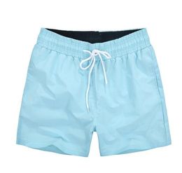 French crocodile Sports and leisure shorts men's youth summer loose and breathable trend running fitness Beach Hot Spring quick drying swimming trunks