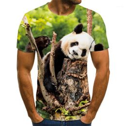 -Мужские футболки 2021 животных 3D печать милые панды с коротким рукавом летний мальчик / девочка детская рубашка подходит мягкая графическая футболка