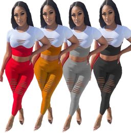 Summer Clothes Wholesale Tracksuits Women Two Piece Set Short Sleeve White T shirt+ripped pants outfits Casual Matching fitness sportswear 6961