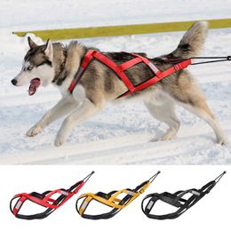 large sled Australia - Waterproof Dog Sled Harness Reflective Sledding Harness Medium Large Dog Strength Weighting Strap for Skijoring Scootering 210712