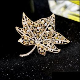 Pins, Brooches Jewellery Swour Fashion Zircon Cz Crystal Design Top Quality Apparel Suit Brooch Pin Collar For Women S535 Drop Delivery 2021 O
