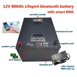Lifepo4 12.8V 800Ah lithium battery pack BMS with remote control APP for caravan RV inverter Solar backup power boat +20A Charger