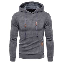 Autumn Winter Fashion Hoodied Mens Sweatshirts Plaid Cotton Hoody Hoodies For Sportswear Casual Hoodie 210813