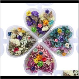 Festive Party Supplies Home Garden1Box Epoxy Filler Real Dried Flower Mixed 3D Nail Stickers Decor Herbarium Craft Decorative Flowers & Wreat