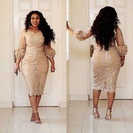 Lace Short Champagne the Bride Dresses Plus Size 2022 Tea Length 3/4 Long Sleeve Sheath Mother of Groom Gowns M02 Mor