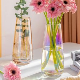 Vases Nordic Creative Simple Ins Wind Glass Vase Water Culture Transparent Net Red Living Room Dried Flower Decoration Ornaments