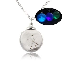 Pendant Necklaces 2021 Jewelry Multicolor Luminous Sand Plant Dandelion Seed Light Bulb Necklace Glow In The Dark For Friend DIY Gift