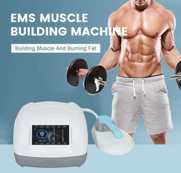 Wind Cooling System Home Use Portable HIEMT Slimming Beauty Machine EMSlim Tesla Sculptor Electromagnetic Muscle Stimulation Mini Fat Burn Fitness Equipment