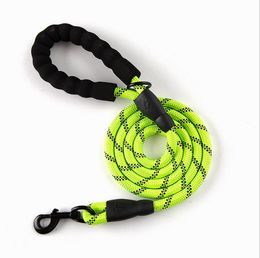 Nylon Training Dog Leashes Webbing Recall Long Lead Line Pet Traction Rope Durable Great for Teaching Camping Backyard