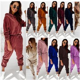 New Women Korean Velvet Tracksuits Fashion Trand Hooded Tops Drawstring Trousers Outfits Designer Female Casual Jogger Velvets Two Piece Sets