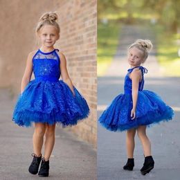 Lovely Little Flower Girls Dresses Lace Tulle Short Wedding Party Gowns Jewel Neck Sleeveless Pageant Princess Dress