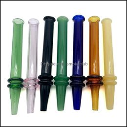 Other Aessories Household Sundries Home & Garden Portable Pen Style Heat Fast Mini Nc Coloured Quick Dab Tube Glass Tip For Dabs Oil Rigs Pip