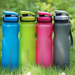 Water Bottle 1L Plastic Sports Space Kettle Fruit Infuser Drinking Jar Container