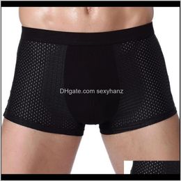 Apparel Drop Delivery 2021 Breathable Mesh Modal Underwear Gentle Flexible Super-Elastic Soft Summer Mens Underpants Boxer Plus Size1 Iqhgn