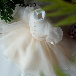 Spring Teenager Girls Dress Champagne Transparent Sleeves Button Princess Performance Girl for Weddings E0002 210610