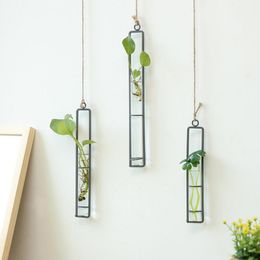 plants glass containers UK - Vases Nordic Decoration Home Flower Wall Vase Test Tube Clear Glass Container Hanging Air Plant Bottle