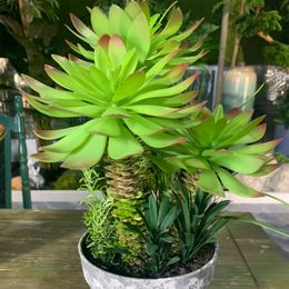 26/37cm Artificial Succulent Plants Tropical Tree Fake Dracaena Tree Bonsai Mini Agave Potted For Home Desktop Shelf Porch Decor