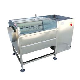 Commercial Small stainless steel Vegetable Fruit Washing Machine Brush And Peeling manufacturer With CE Approved 220V