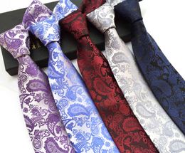 knitted tie Australia - Polyter Cashew Paisley 18 Color Men's Tie