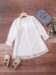 Toddler Girls Peter Pan Collar Embroidery Lace Overlay Dress SHE