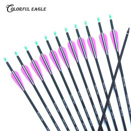 28" 30" 31" Spine 500 Carbon Arrow with Purple and White Colour for Recurve Compound Bows Archery Hunting Target shooting