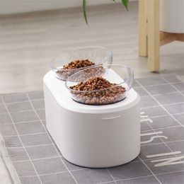 Cat Dog Raised Feeder With Airtight Storage Pet Detachable Food Water Bowl With Elevated Stand Double bowl Y200922