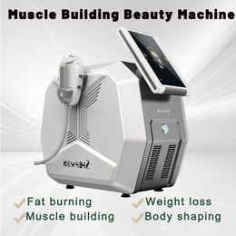 EMS Arms Thighs Buttocks Belly Slimming Beauty Machine Sculpting Muscle Technology EMSLIM Device