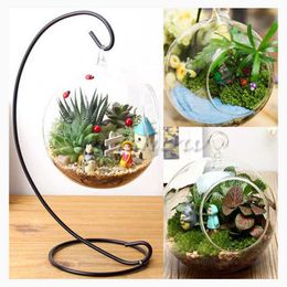 Vases Clear Flower Plant Stand Hanging Vase Terrarium Container Glass Hydroponic Home Office Wedding Decor