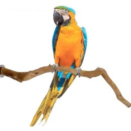 Other Bird Supplies Pet Parrot Standing Stick Wood Pole Toy Cockatiel Parakeet Perches Bite Claw Grinding Cage Accessory