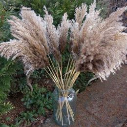 20pcs Dried Flowers Natural Pampas Grass Decor Wedding Use Bunch Flower forHome Decoration 211023