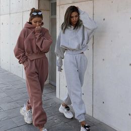 Tracksuit's Warm Hoodie and Pants Set Oversized Sportwear Tracksuit Autumn Winter Suits On Fleece For Women y2k 210930