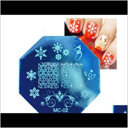 Christmas Theme Nail Stamping Plates Stainless Steel Xmas Snowflake Designs Nails Art Template Image Plate Manicure Tools Tb9Vd Zgtme