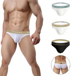 New Sexy Underwear Men Briefs Cotton Hollow Out Back Man Underpants Gay Low Rise Men's Panties Slip Homme Breathable