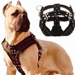 Dog Harness For Large ,Pit Bull Collar Wholesale Leash Vest Fashion Pet Products Accessories 210729