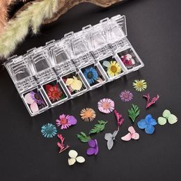 plant nail art UK - Decorative Flowers & Wreaths 1 Box Real Dried Flower Dry Plants For Candle Epoxy Resin Pendant Necklace Jewelry Nail Art Making