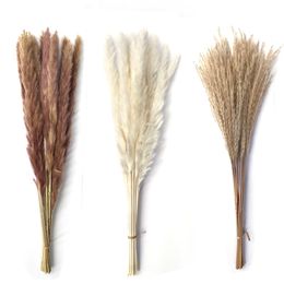 Reed pampas orelhas de trigo coelho cauda grama natural florescer flores buquê casamento decoração de casamento feno para festa boêmio casa 20220110 Q2