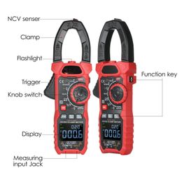 AC/DC Digital Clamp Metre True-RMS Multimeter Anto-Ranging Multi Tester Current with Amp Volt Ohm