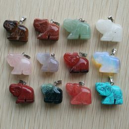 Carved elephant Shape Assorted Natural stone charms Crystal pendants for necklace accessories jewelry making