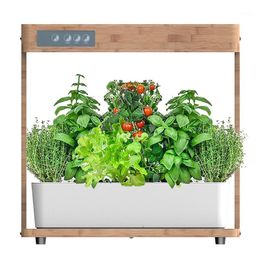 Planters & Pots Igs-05 Indoor Plant Hydroponics Machine Soilless Cultivation Equipment Automatic Water Absorbing Flower Pot