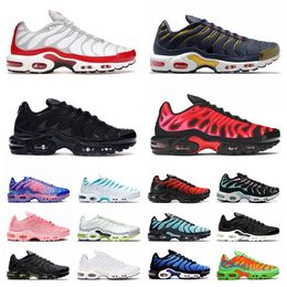 skybolsas herios plus