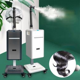 Hair Care Ultrasonic Micro Mist Speed Up Colour Dye And Treatment Nano Hair Steamer